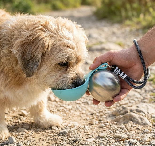 Petgloro™ Dog Water Bottle