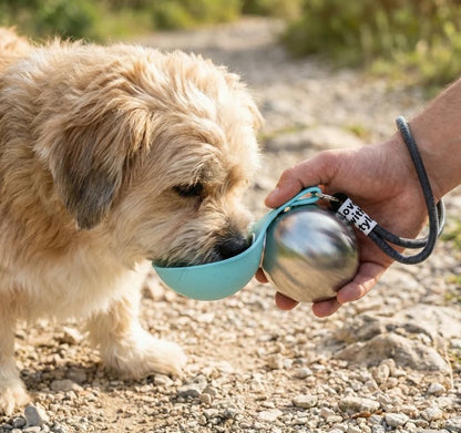 Petgloro™ Dog Water Bottle